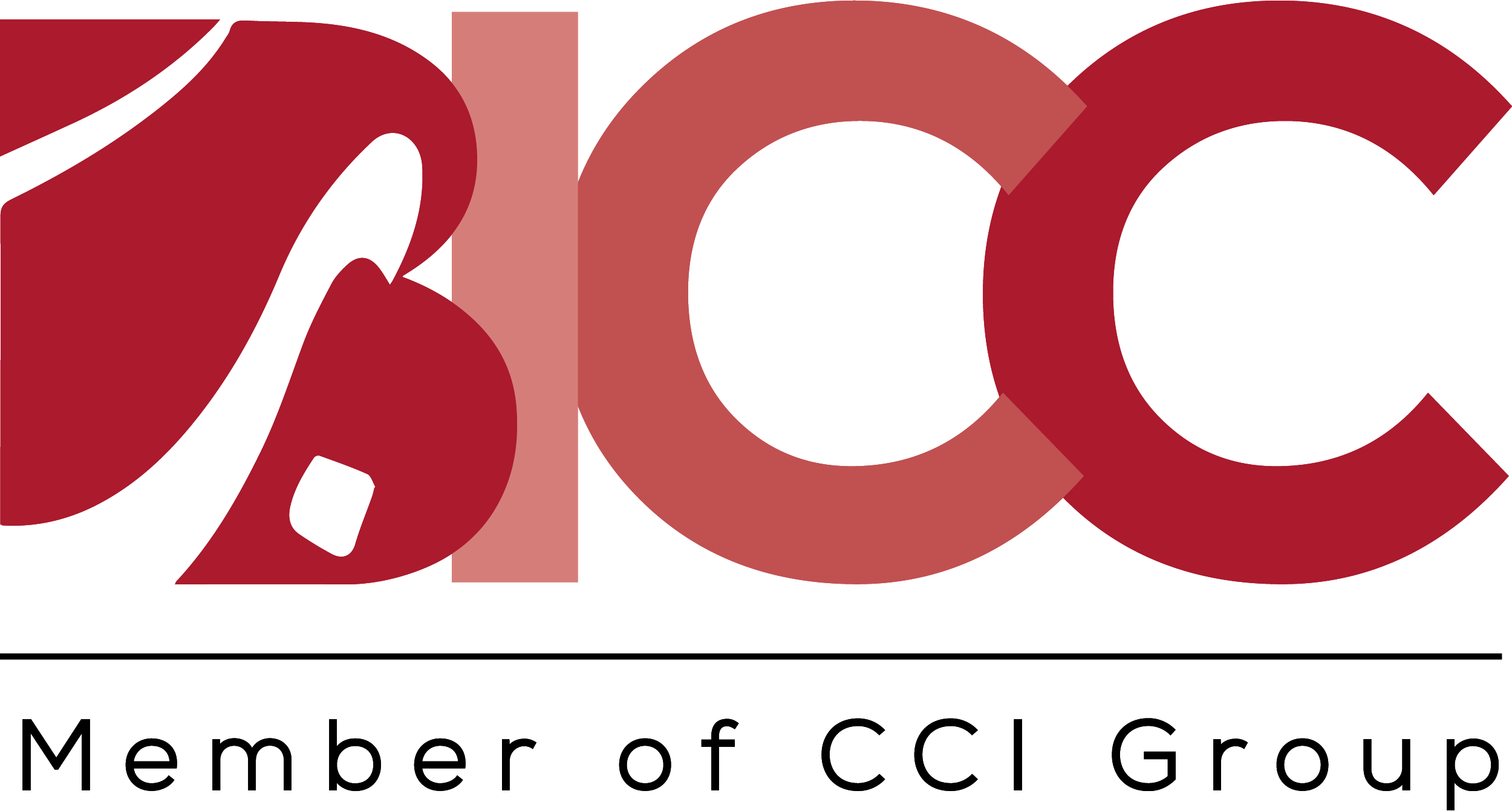 BICC - Leader in business intelligence and consulting services, specializing in data-driven decision-making solutions.