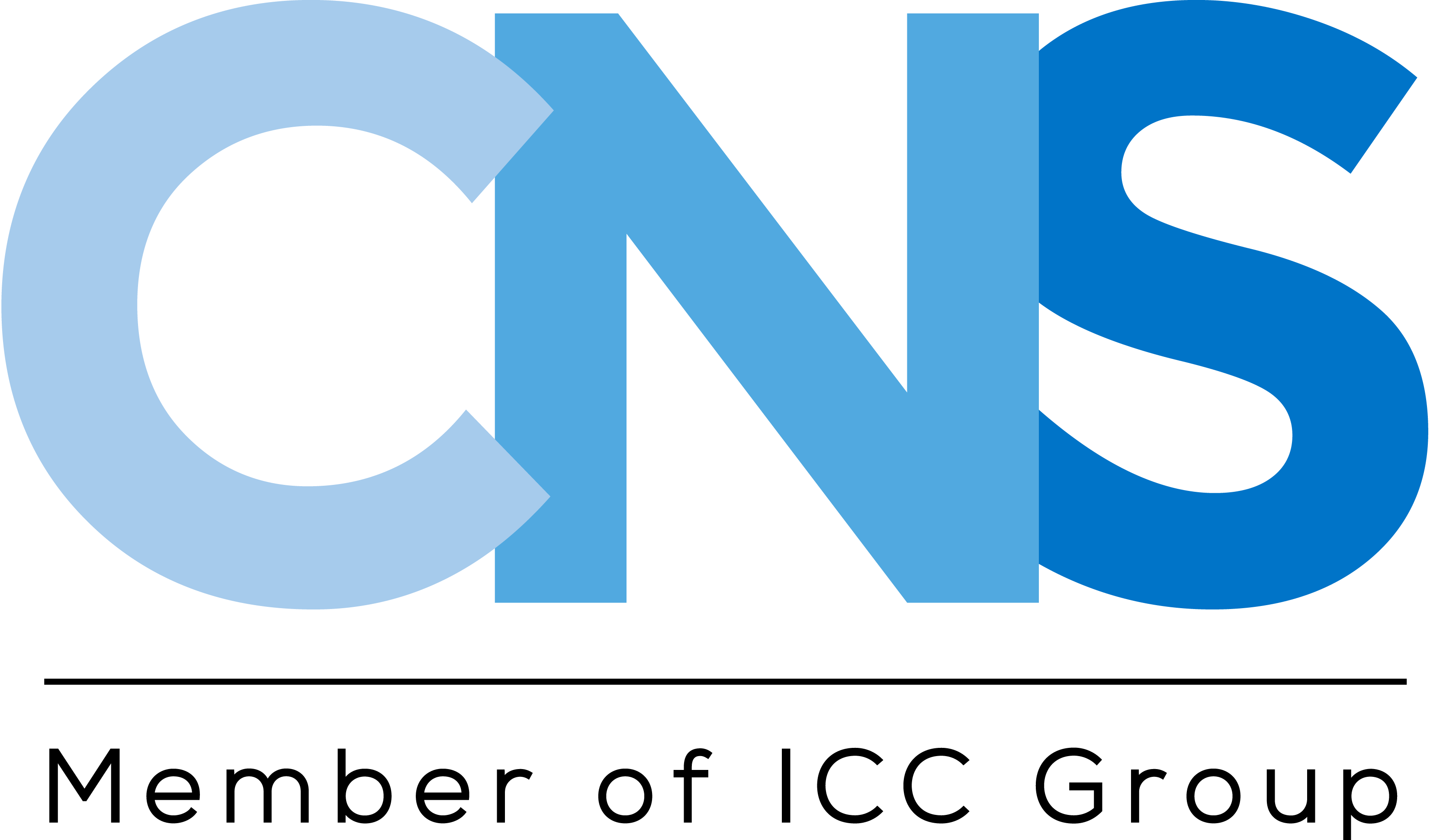 CNS – Provider of IT solutions and services, specializing in digital transformation and technology integration.